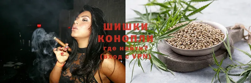 Бошки Шишки White Widow  Донской 